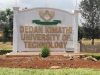 How to download 2020/2021 Admission letter to Dedan Kimathi University of Technology (DKUT); 2020 KUCCPS Admission list pdf